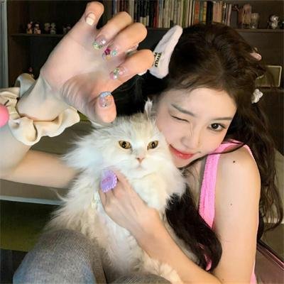 熊猫历险记